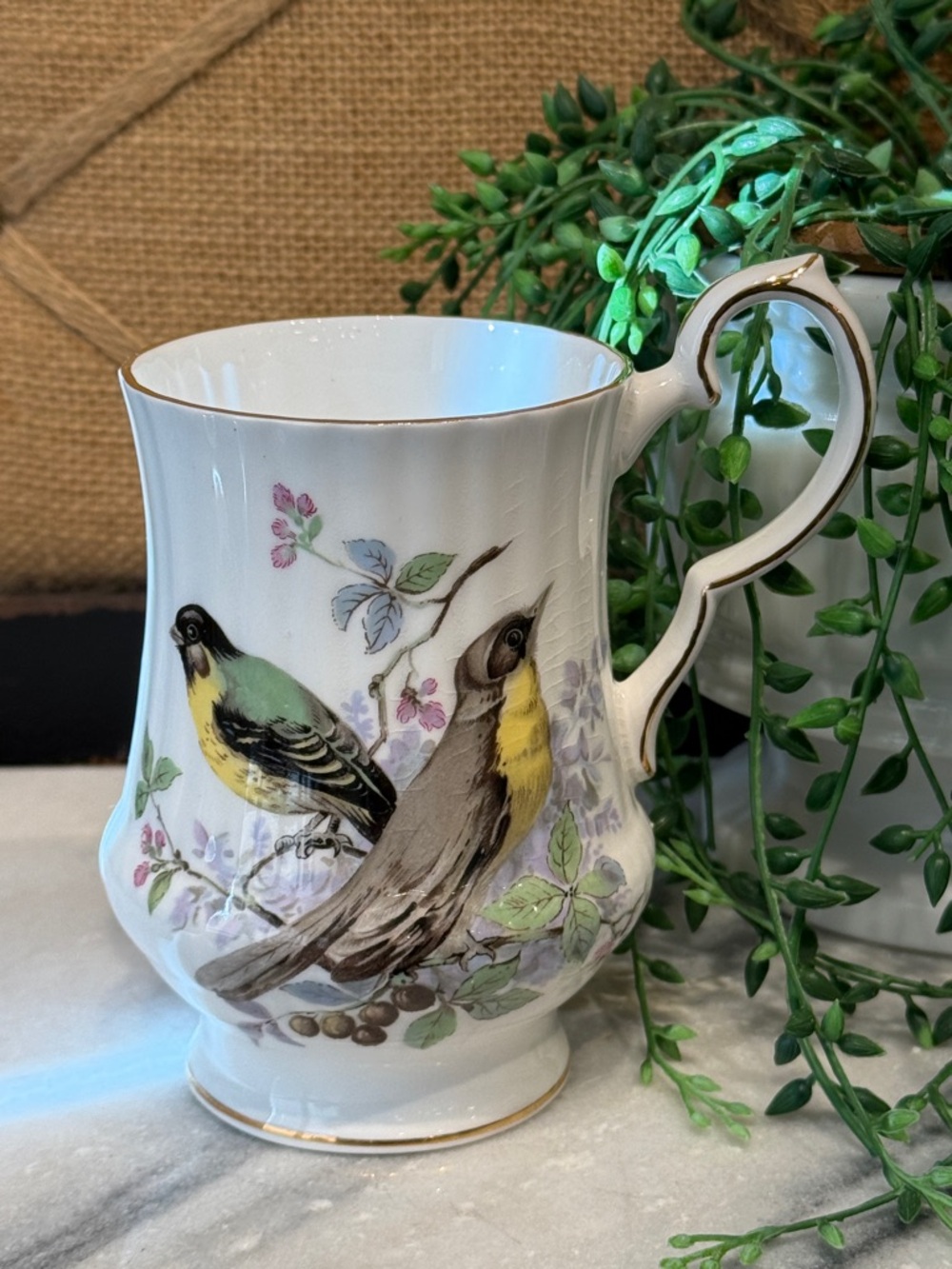 Royal Windsor Fine Bone China Bird Cup